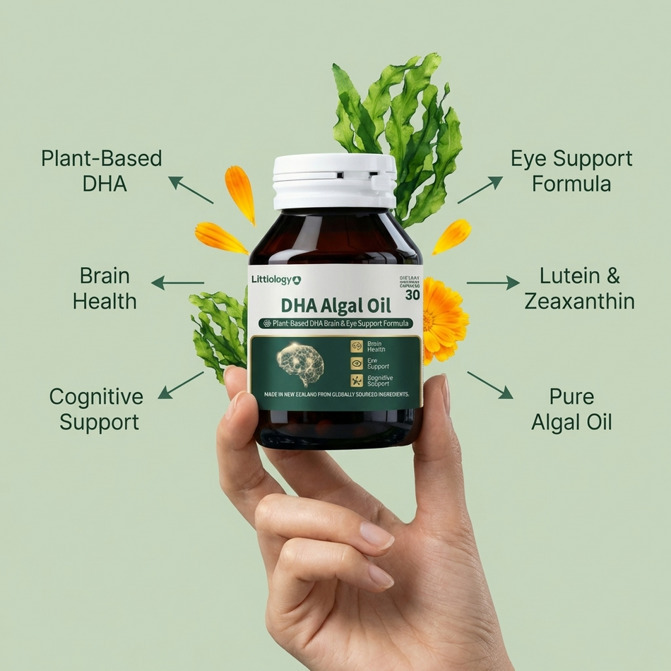 Littlology DHA Algal Oil – Plant-Based Brain & Eye Support Formula